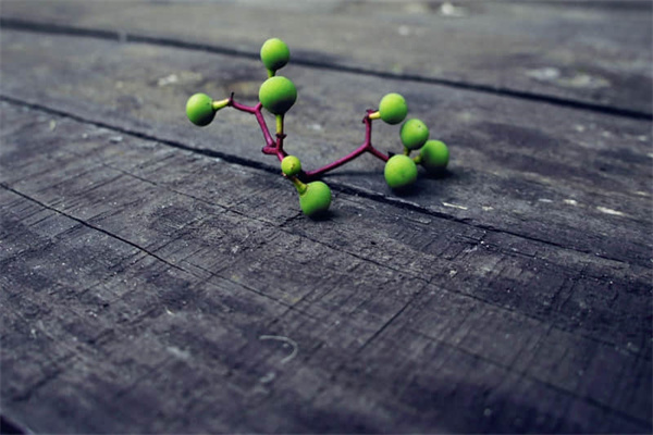 陕北特产有哪些-陕北特产有哪些带图片的