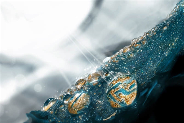 蓝牙接收的文件在哪里-蓝牙接收的文件在哪个位置