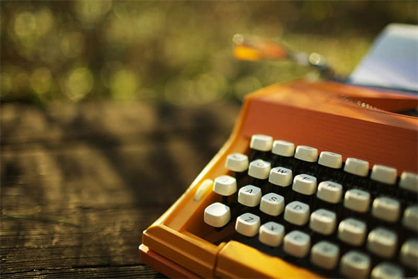 昆虫有哪些种类