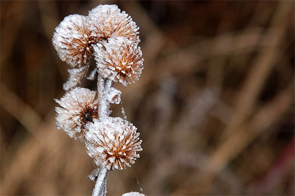 为什么嘴角两边黑黑的-为什么嘴角两边会有白色的