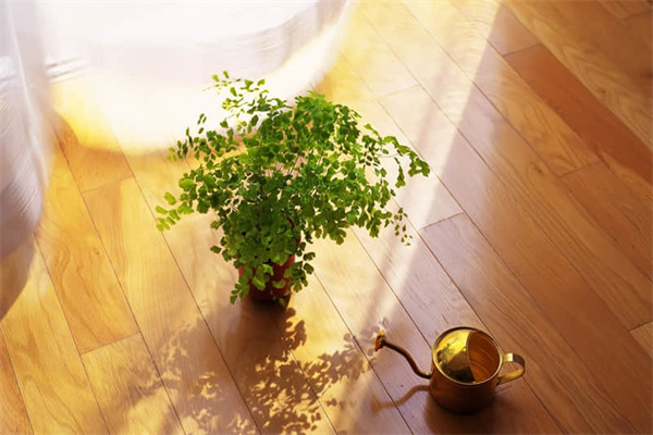 喝桂花茶有什么好处-乌梅桂花茶的功效与作用