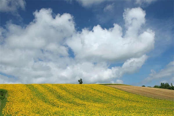 不敢和女生说话怎么办-不敢和女生说话是什么病
