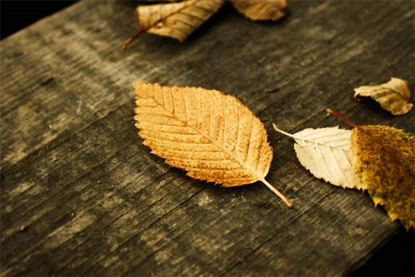 一光年要飞多久-一光年要飞多久才能到达