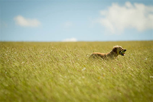 根管治疗后牙疼怎么办-根管治疗后牙疼吃什么药最好最有效