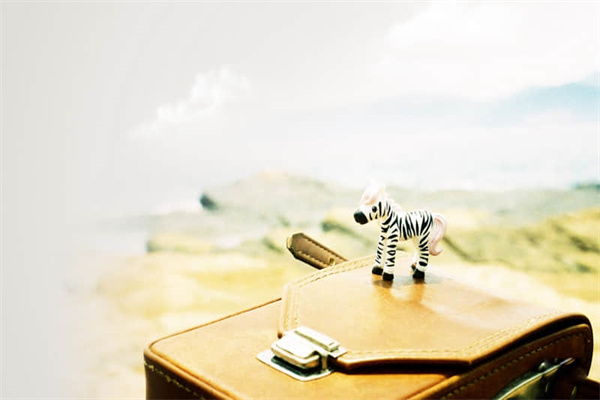 怀孕多久不能坐飞机-怀孕多久不能坐长途车