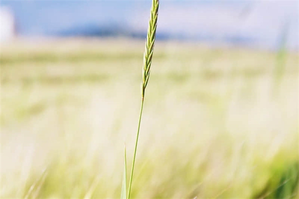 电脑qq接收的文件在哪个文件夹-电脑qq接收的文件打不开