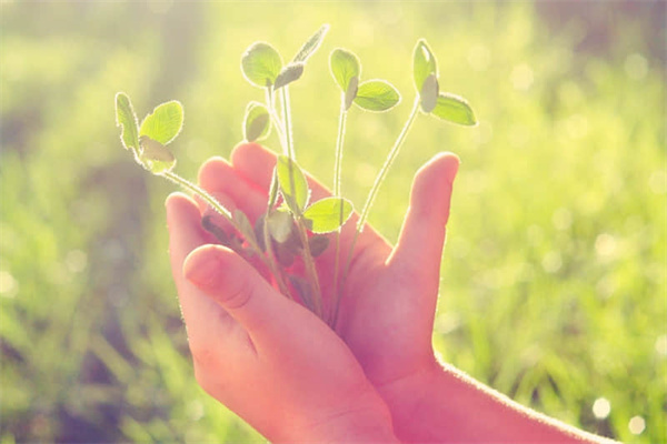 舌侧牙套多久不磨舌头-舌侧牙套多久复诊一次